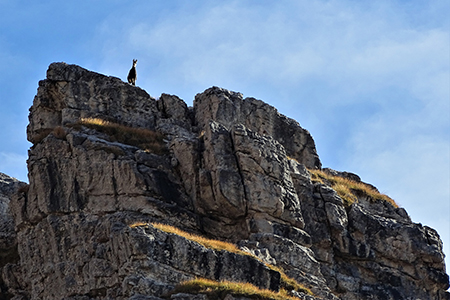 Autunnale in CIMA MENNA (2300 m) da Zorzone ad anello con discesa dal Chignol d’Arale il 25 ott. 2018- FOTOGALLERY